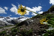 CAPANNA BOVAL AL GHIACCIAIO DEL MORTERATSCH il 18 luglio 2016 - FOTOGALLERY